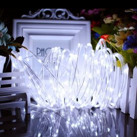 33FT 100 LED Strip Rope Light Tube String Outdoor Garden Party Decoration Lights (Model: White)