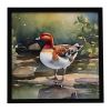 Redhead Duck Framed Metal Print Bathroom, Kitchen, Office, Home Decor Wall Art Ready to Hang, Square, 8X8