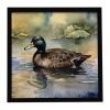 American Black Duck Framed Metal Print Bathroom, Kitchen, Office, Home Decor Wall Art Ready to Hang, Square, 8X8