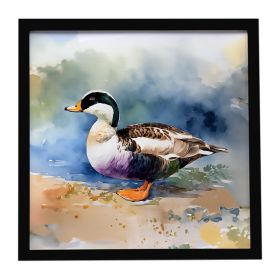 Common Eider Duck Framed Metal Print Bathroom, Kitchen, Office, Home Decor Wall Art Ready to Hang, Square, 8X8 (Default: Default)