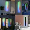 2 Packs Long Outdoor RGB LED Wall Lights