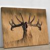 Antler Ready to Rut Canvas Print or Poster
